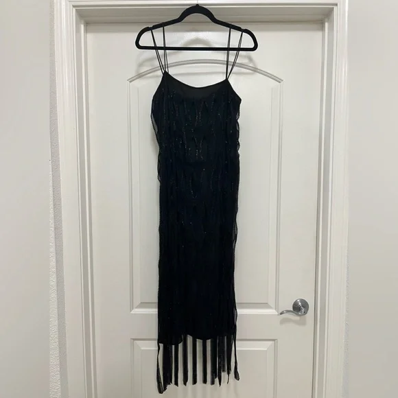 NWT Zara Sequin Beaded Fringe Dress - Picture 8 of 16